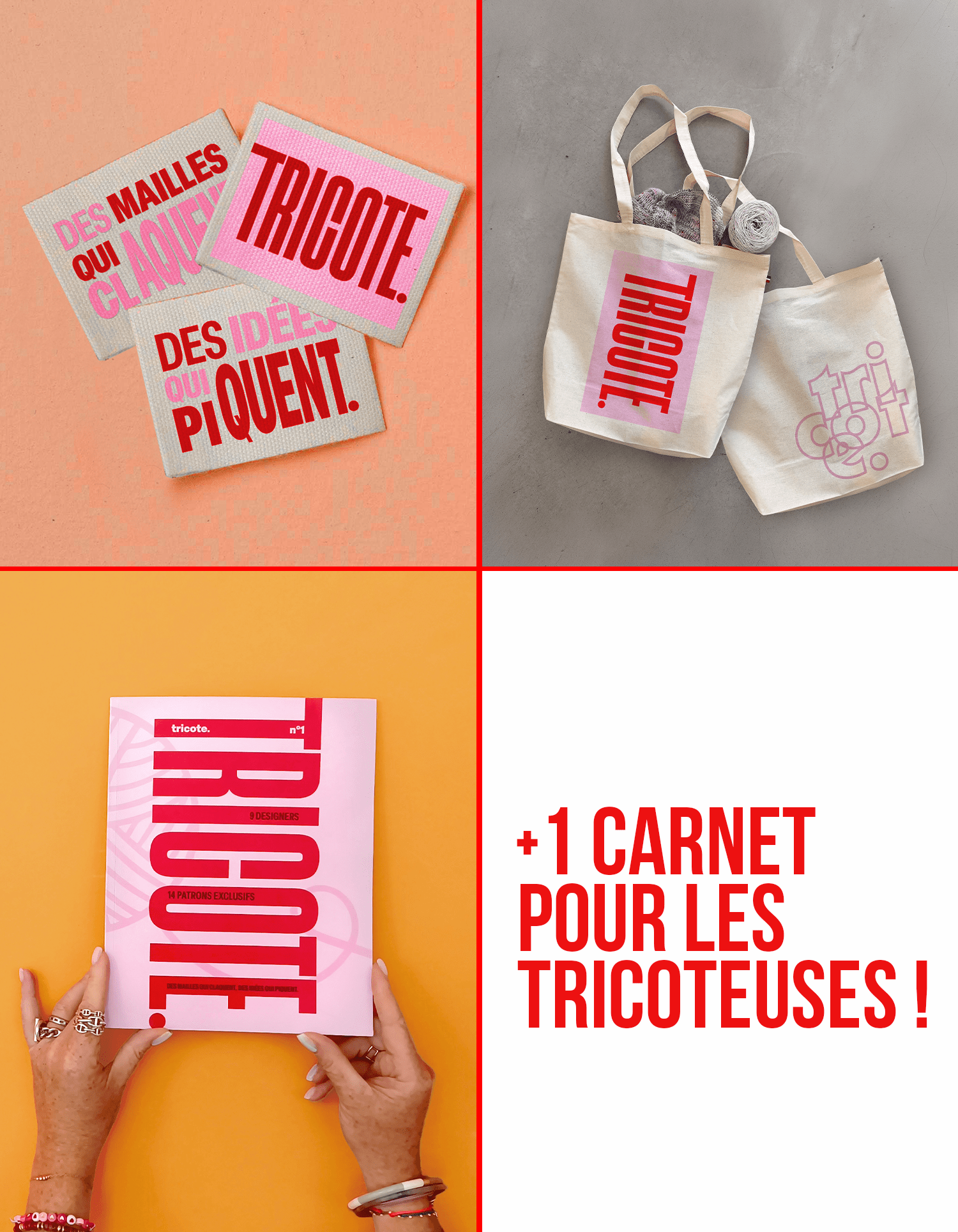 L'ambitieuse(x)